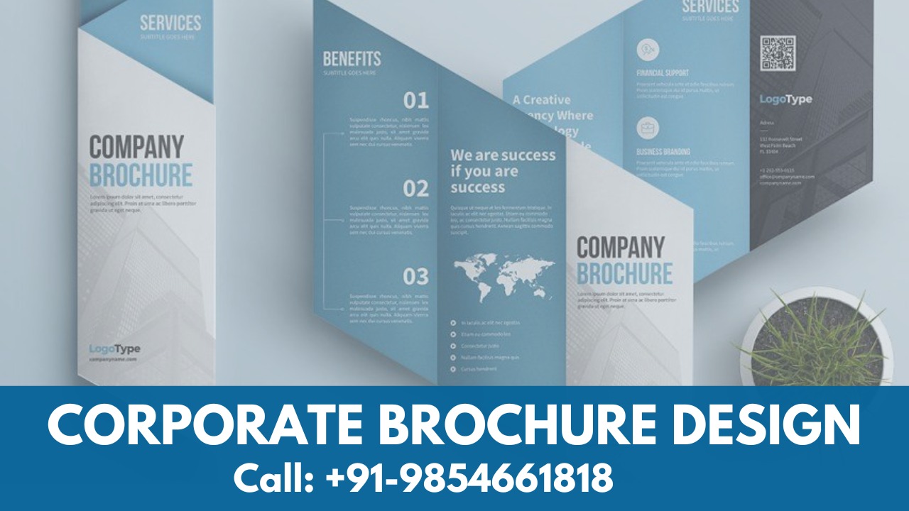 Freelance brochure designers’ secrets revealed: Maximizing Impact with Top Trends and Tips for Creative Brochure Design in 2024