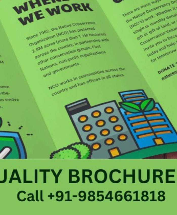 The Impact of Quality Best Brochure Design Agency in Pune on Brand Perception | Call: +91-9854661818
